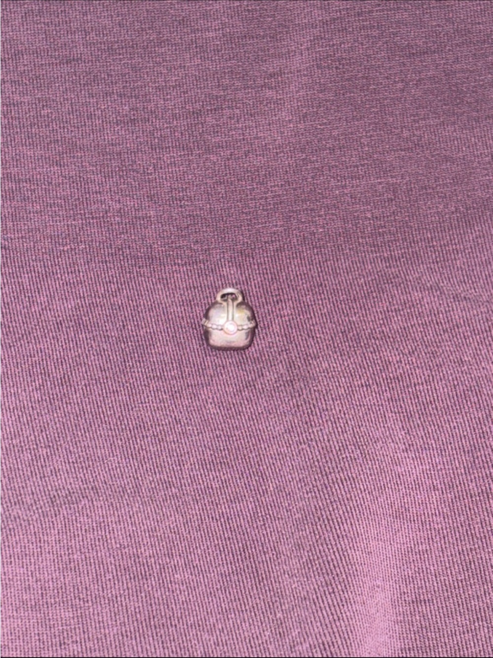 Pandora Two-Tone Purse Clip Charm (Item Number: 790597ACZ).